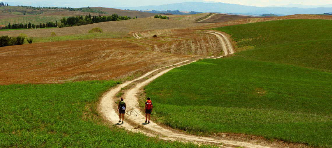 Fotografia -
